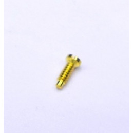 Cartier - Gold screw for bezel PM Mvt 76  - 27377712