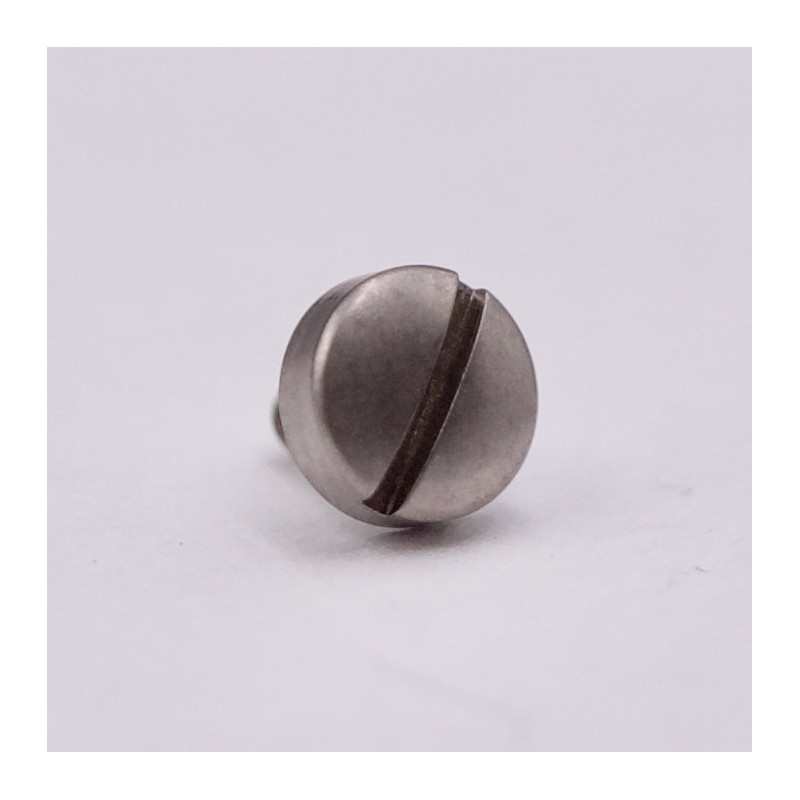 Omega screw for polished steel leather tip