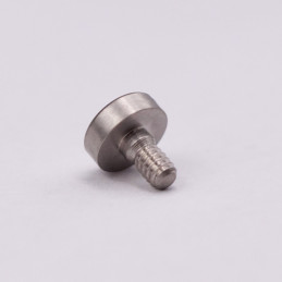 Omega screw for polished steel leather tip