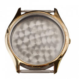 Eterna gold and steel case...