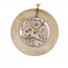 Juvenia cal 604 movement