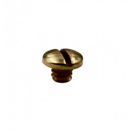 Gold screw for Ebel 1911 bezel