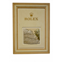 Rolex display panel